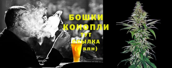 2c-b Пересвет