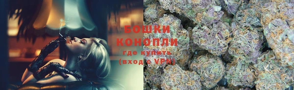 2c-b Пересвет