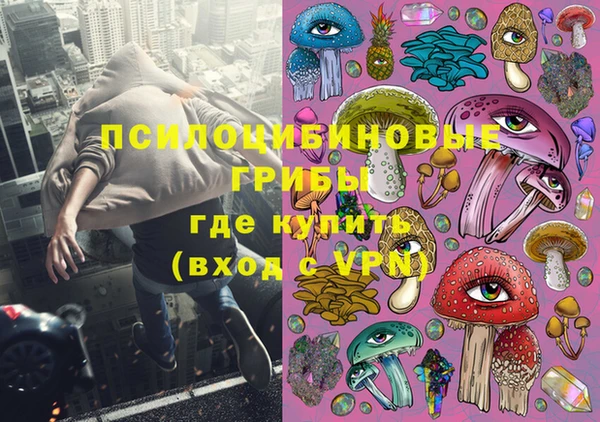 2c-b Пересвет