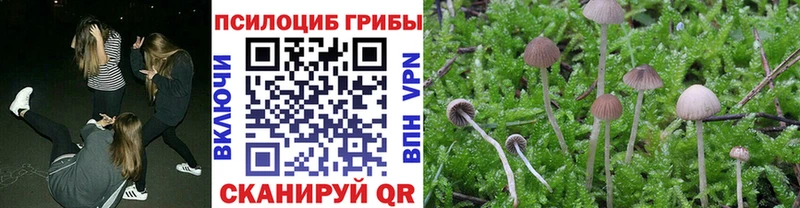 Галлюциногенные грибы GOLDEN TEACHER  цена   Тюмень 