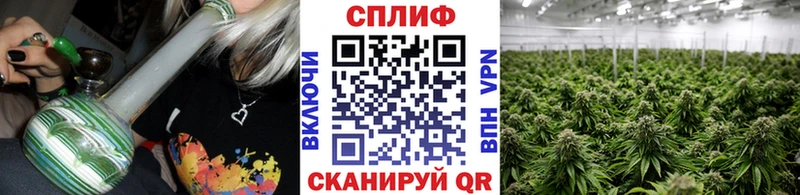 Каннабис сатива  Тюмень 